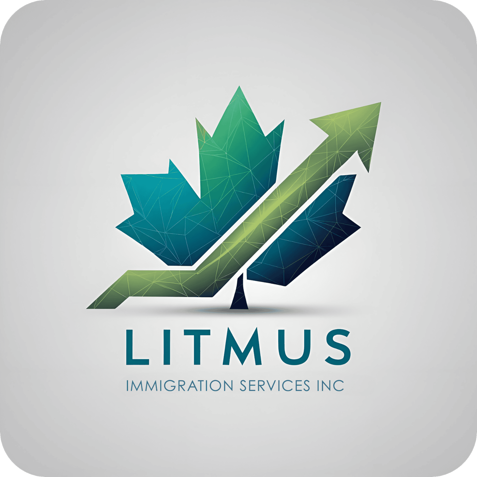 Litmus Immigration Services Inc.